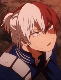 Shoto todoroki 