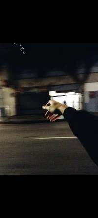 lulu