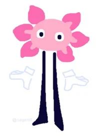 KinitoPET 