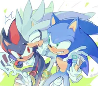 Sonic Shadow Silver 