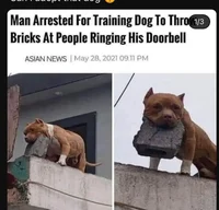 Boy chat -u onlygirl