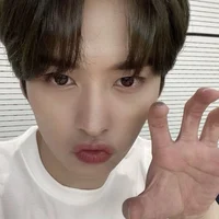Lee Minho 