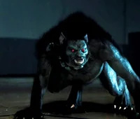 The werewolf 