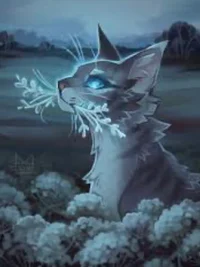 Warrior Cats RP