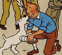 Tintin