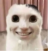 Renèe