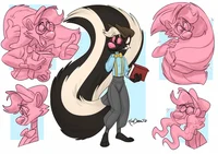 Bookshop skunk