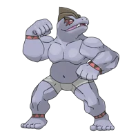 Paldean Machoke