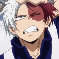 Shoto Todoroki