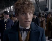 Newt Scamander