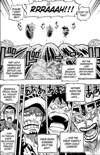 Law Luffy Kid