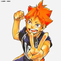 Shoyo Hinata
