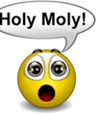 holy moly