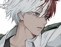 Shoto Todoroki
