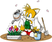 Tails -Caretaker-