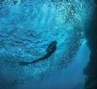 Mermaid