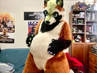 Ian chubby Fursuit 