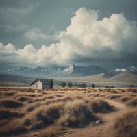 WS10 x husko x chase