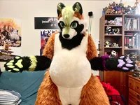 Ian chubby Fursuit 