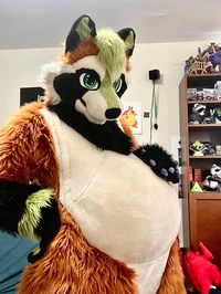 Ian chubby Fursuit 