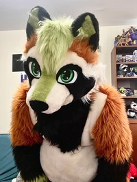 Ian chubby Fursuit 