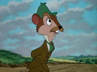 Rat