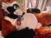 Ian chubby Fursuit 