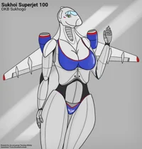 Sukhoi super jet 100