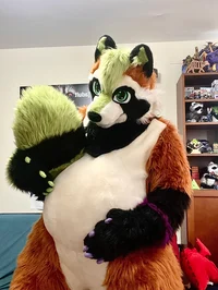 Ian chubby Fursuit 
