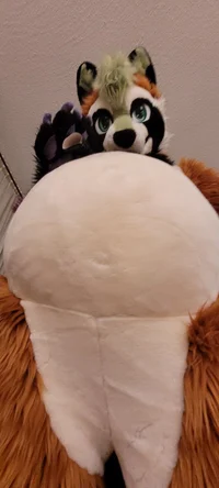 Ian chubby Fursuit 