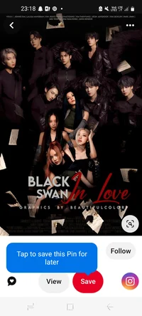 Bangpink stepsibling