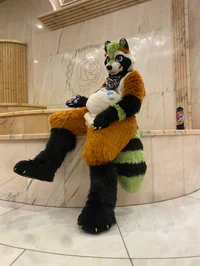 Ian chubby Fursuit 