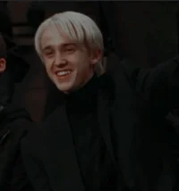 Draco Husband AU