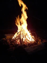Campfire Party