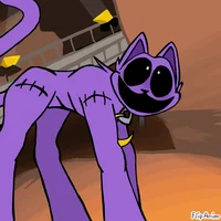 CatNap