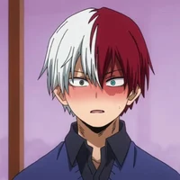 1MHA Shoto Todoroki