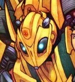 Bumblebee - BAY