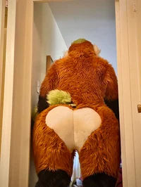 Ian chubby Fursuit 