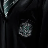Slytherin chicos 