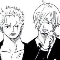 Zoro and Sanji