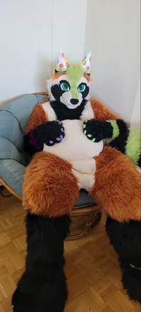Ian chubby Fursuit 