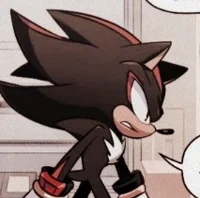 Shadow the Hedgehog