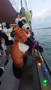 Ian chubby Fursuit 