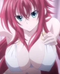 Rias Gremory Novia