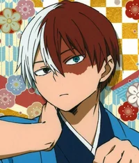 Shoto Todoroki 