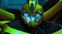 Bumblebee 2-TFP