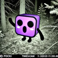 Pocki In Forest
