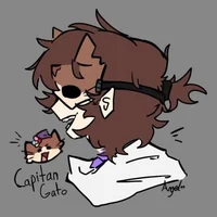 CapitanGato Roomie