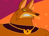 Jackie the jackaldad