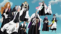 Gotei 13 Captains
